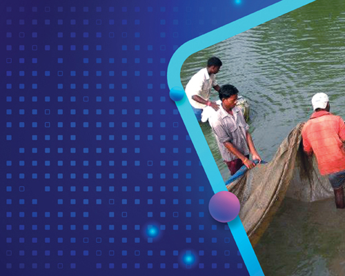 echallan Banner mobile