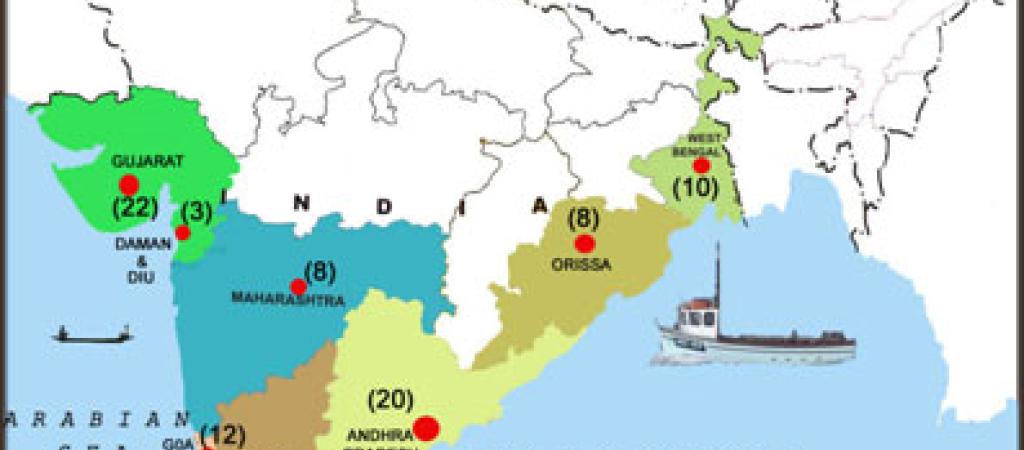 Agricultural Informatics Development: A Holistic Approach