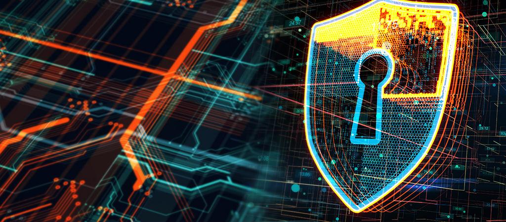 Cybersecurity and Privacy in Governance 