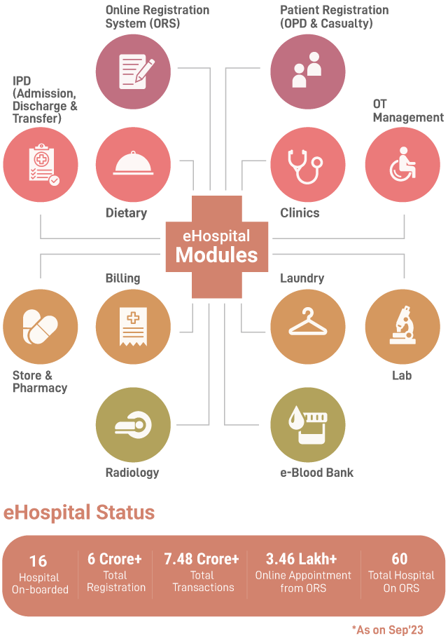 eHospital Modules & Status