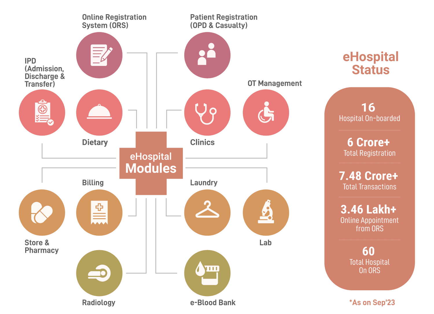 eHospital Modules & Status