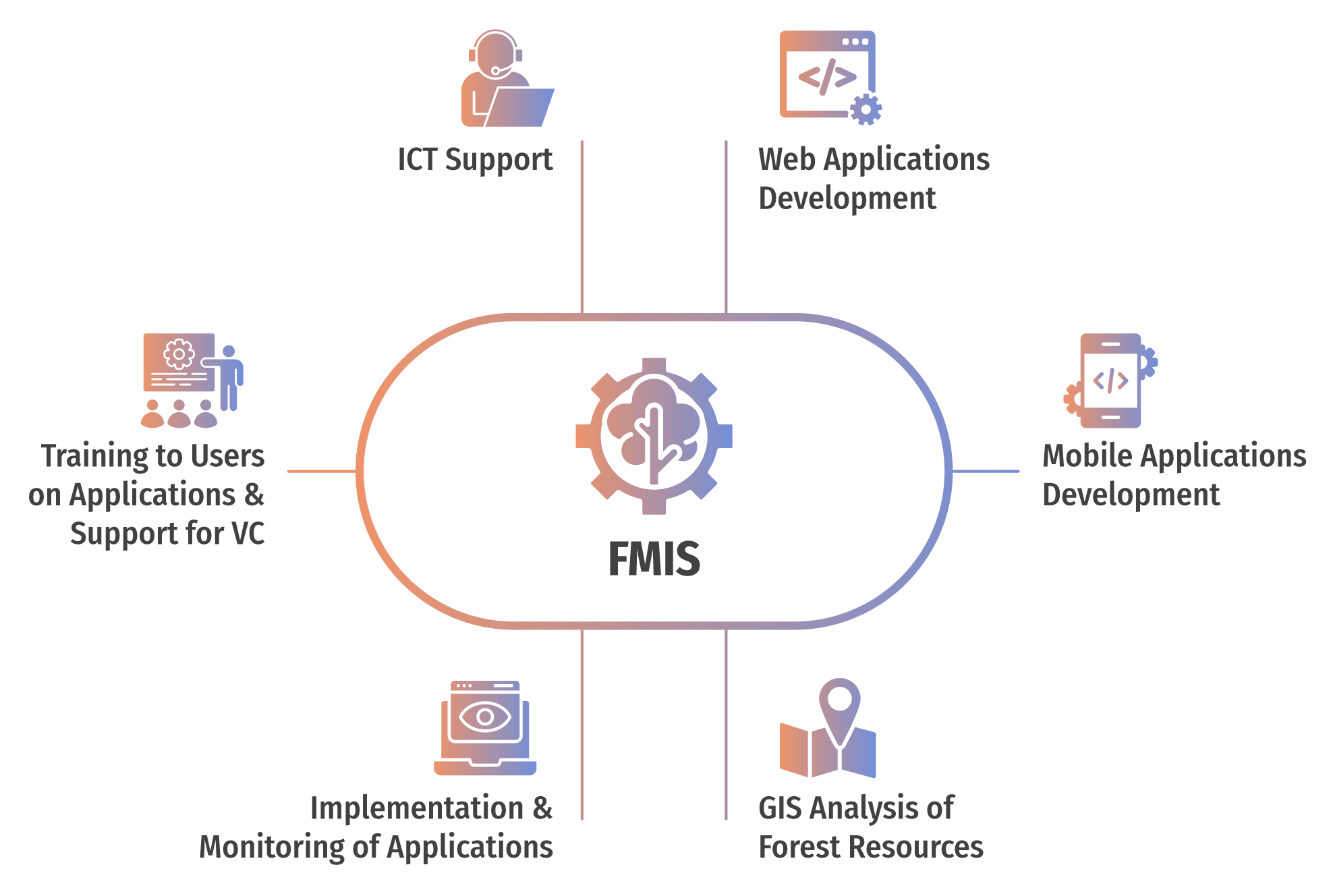 Overview of FMIS