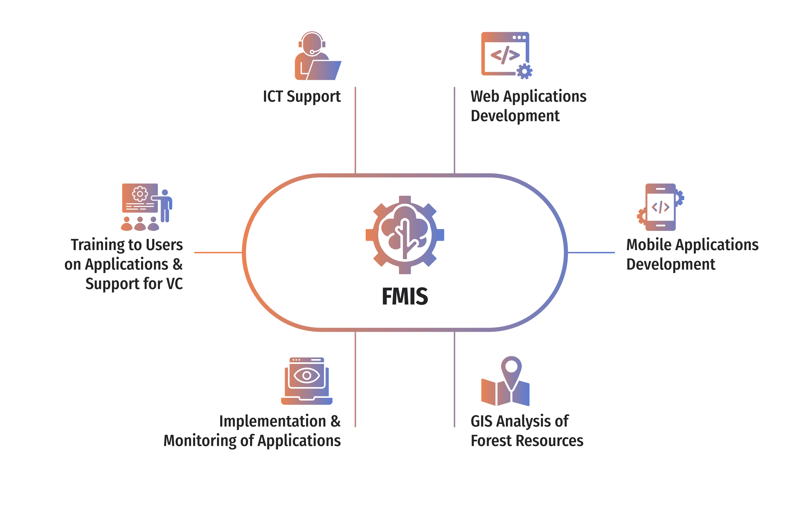 Overview of FMIS