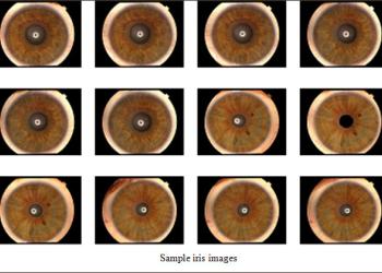 Biometric Authentication: IRIS image Capture, Storage and Processing