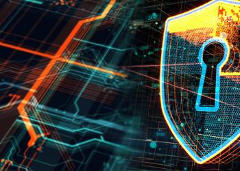 Cybersecurity and Privacy in Governance 