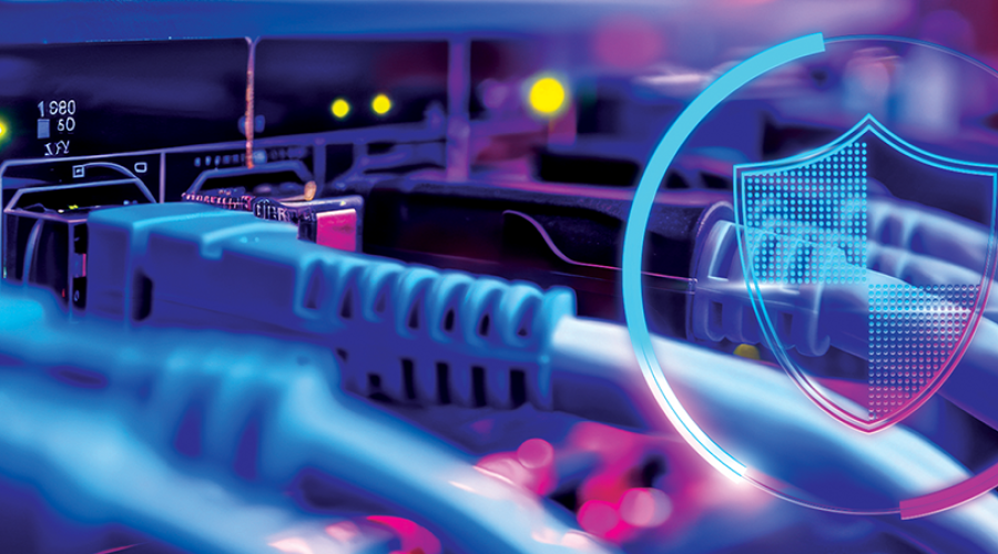 Securing Government LAN and Endpoints using MOGLES & CAAR